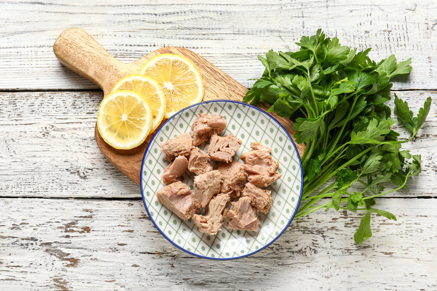 Tuna-tize Your Meals with Finer Fin